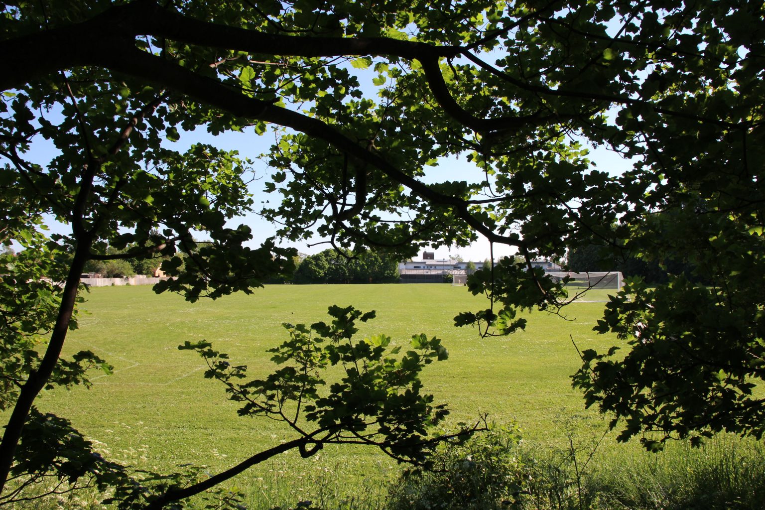 Coleridge Community College field