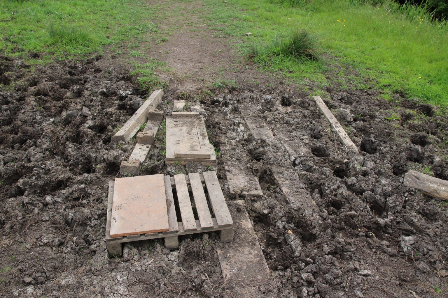 Stepping stones across muddy patch of Ditton Meadows