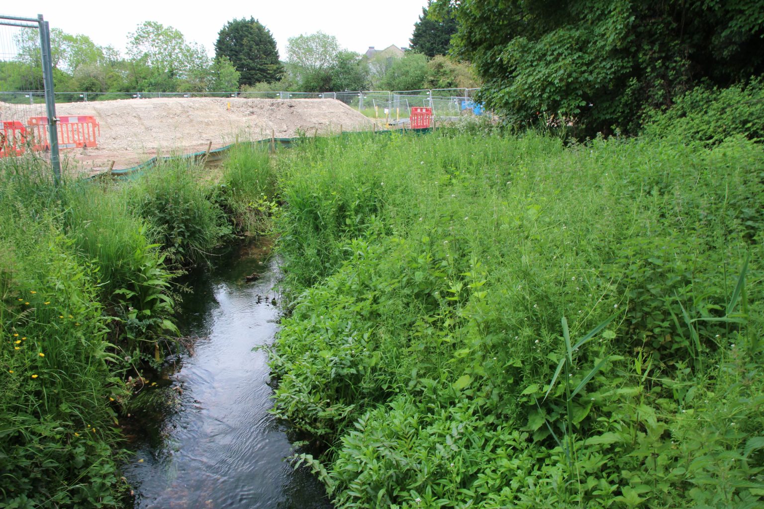 Coldham's Brook looking south, Ditton Meadows
