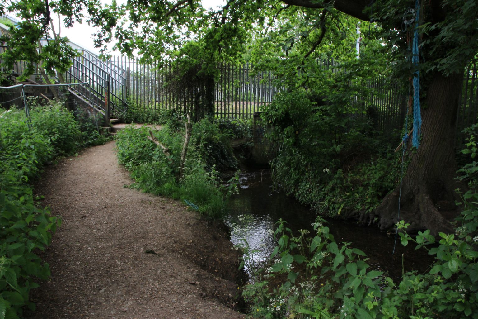 Coldham's Brook looking west towards the railway, Ditton Meadows
