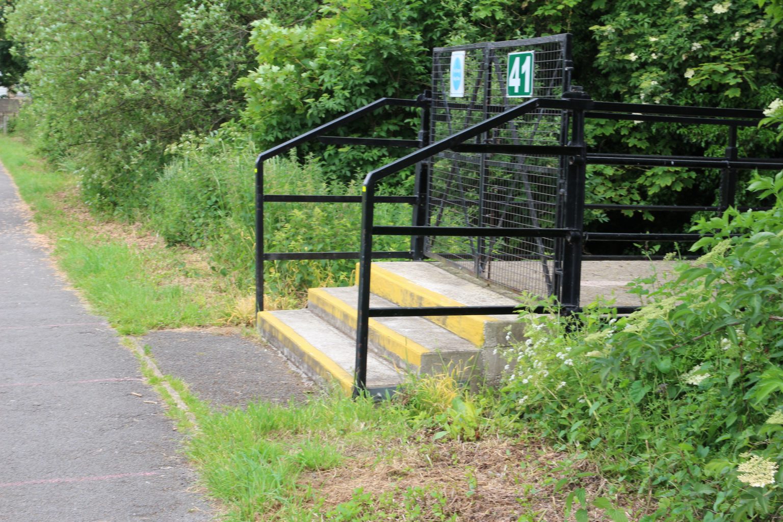 Path with social distancing lines outside Abbey Stadium