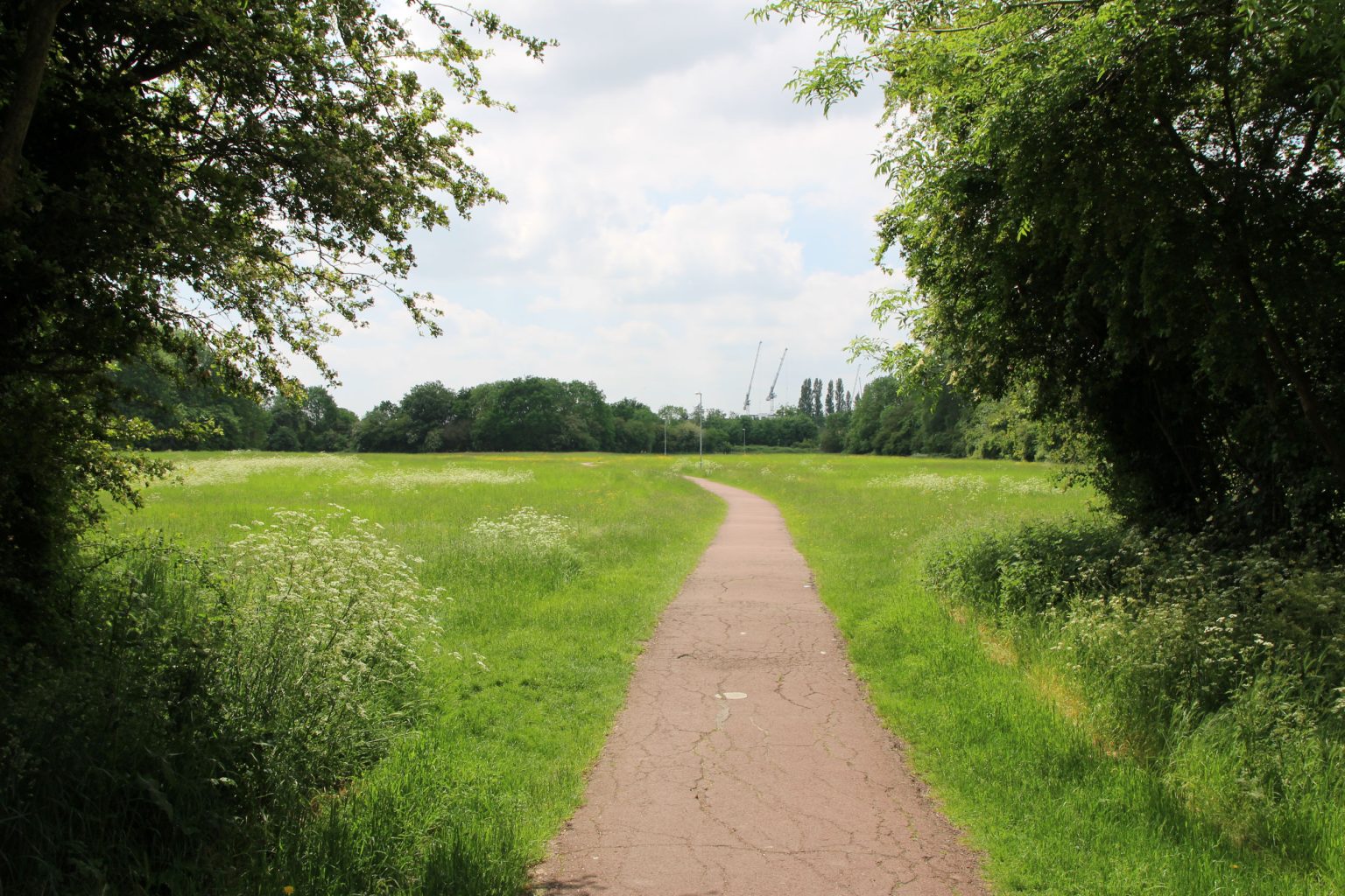 Coldham's Common looking south