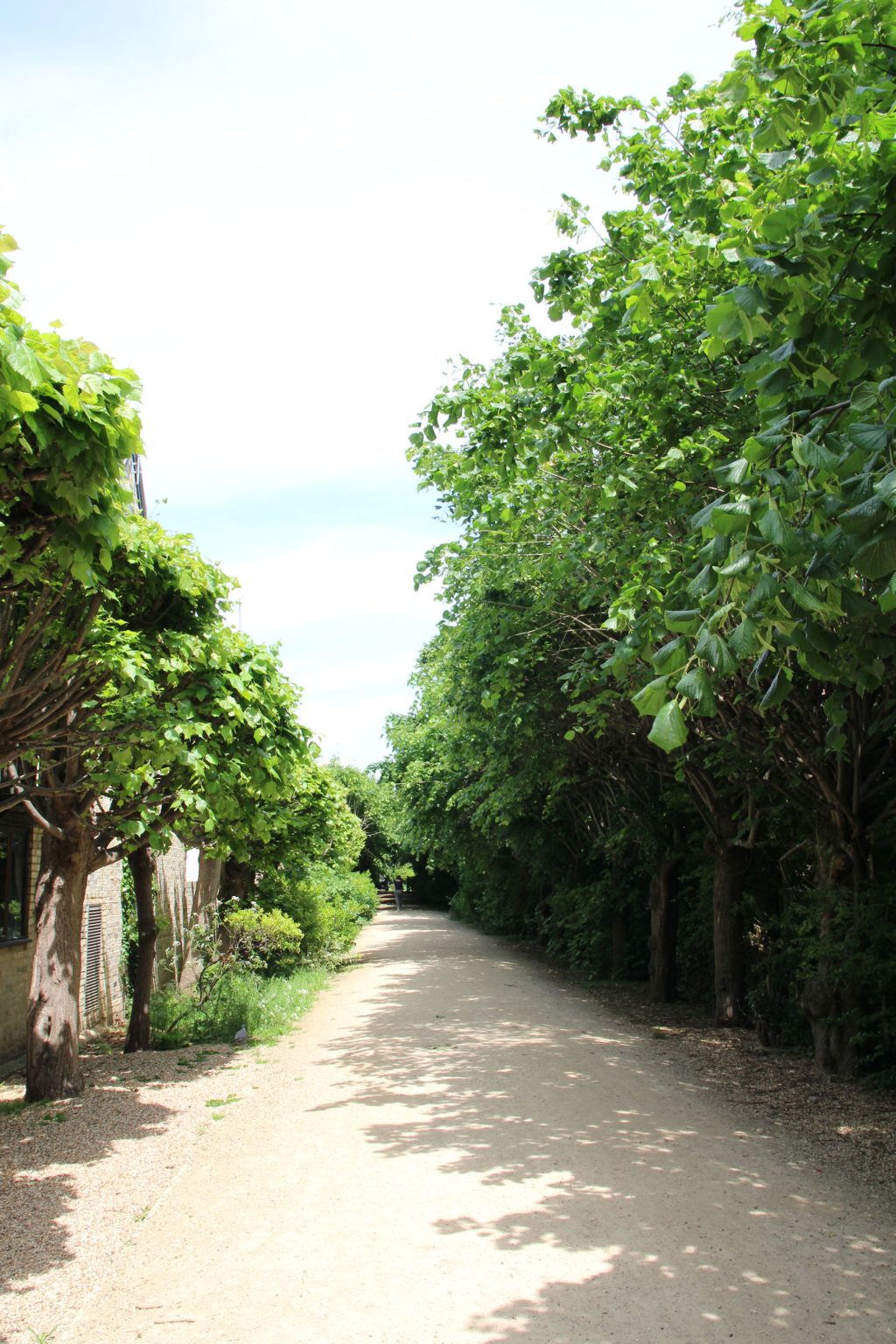 Mill Road cemetery entrance