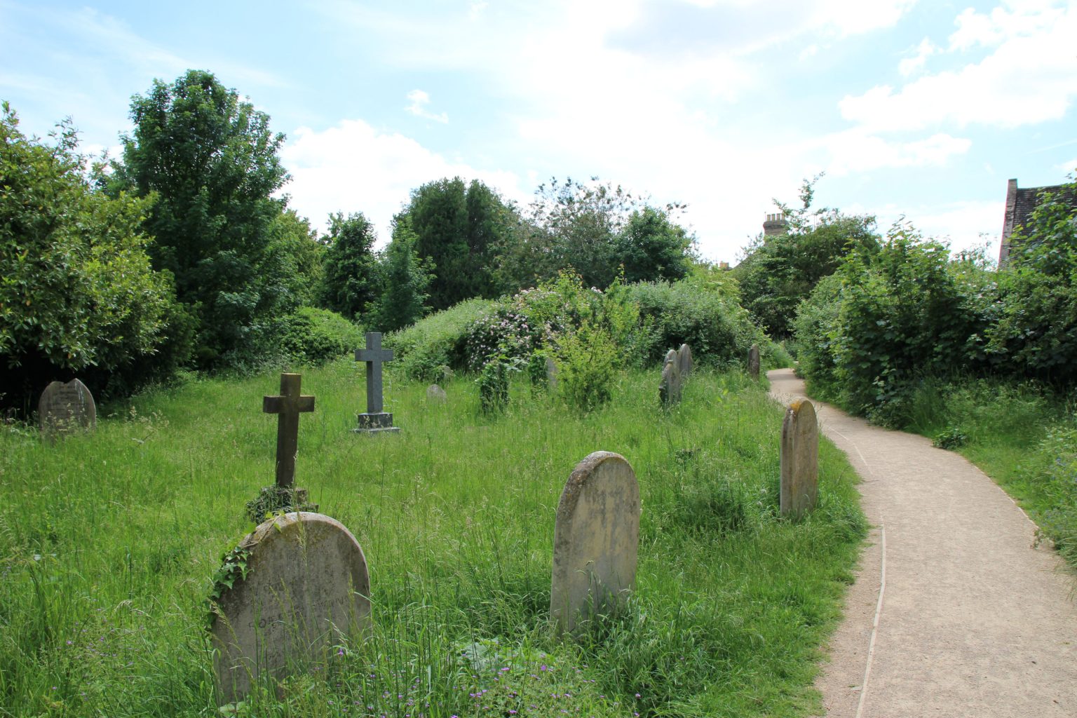 Path through Mill Road Cemetery