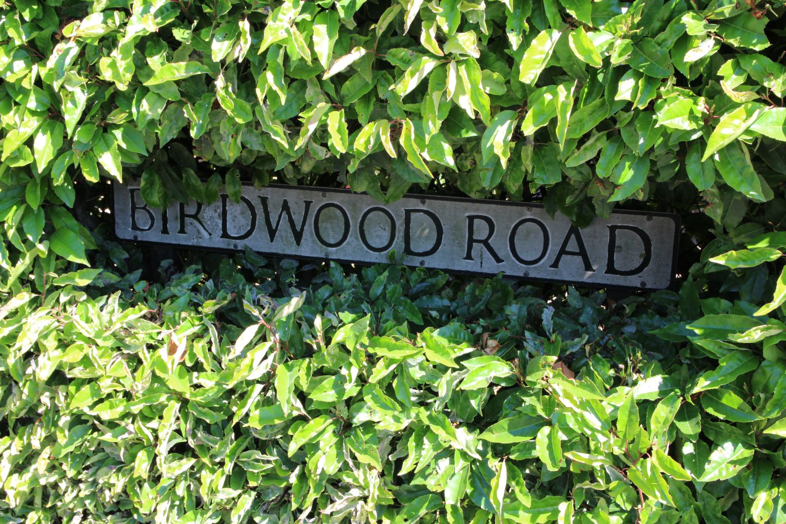 Birdwood Road sign