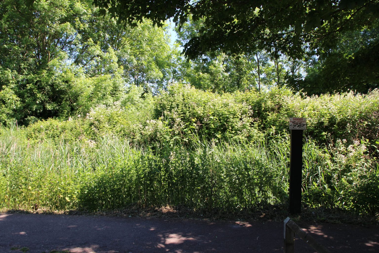 Snakey Path by St Bede's Gardens