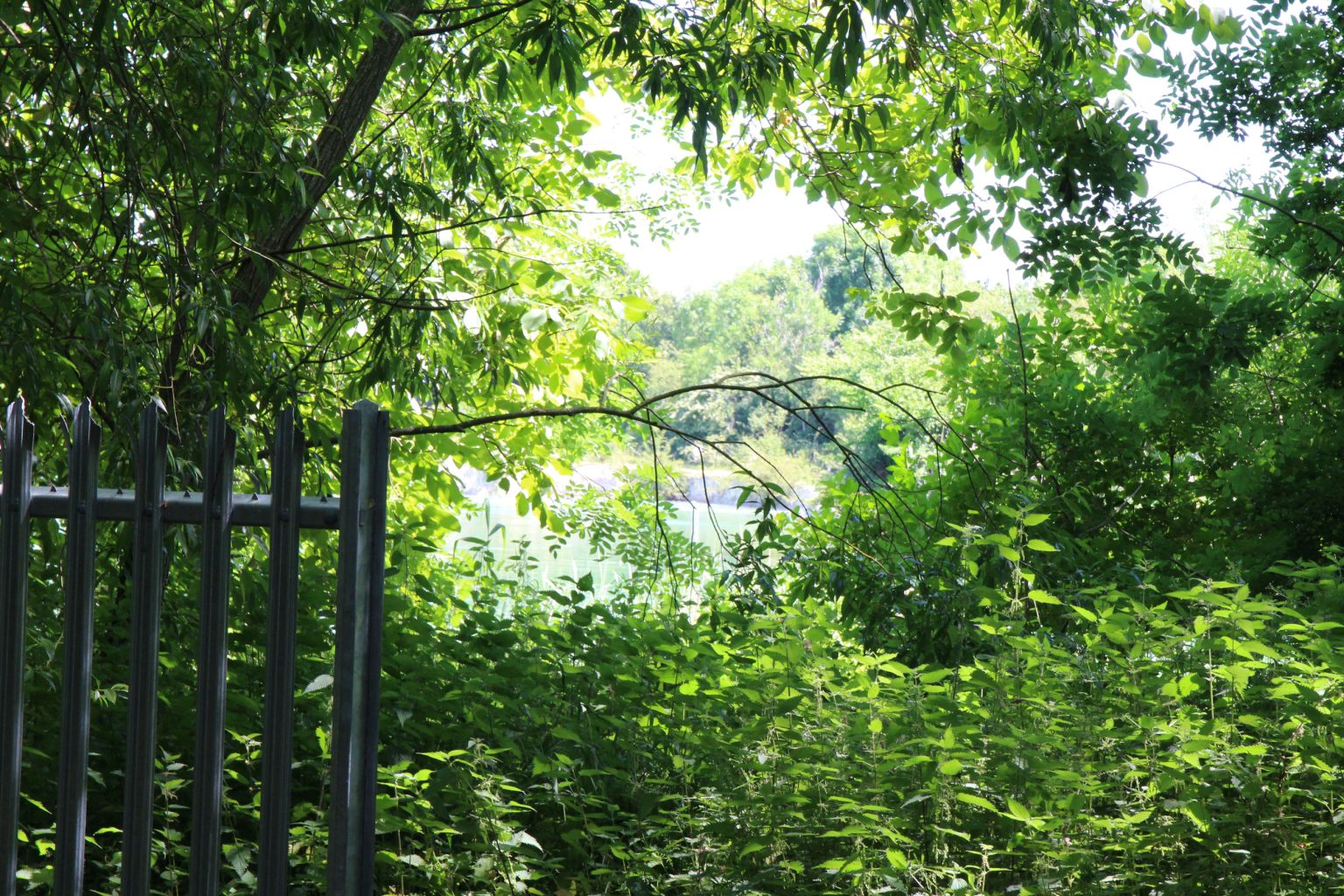 Glimpse of East Lake
