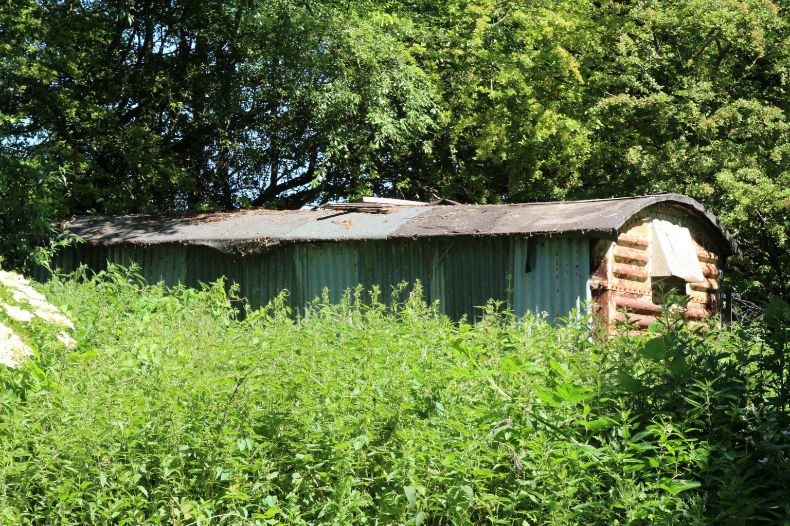 Rusting hut by Cherry Hinton Brook