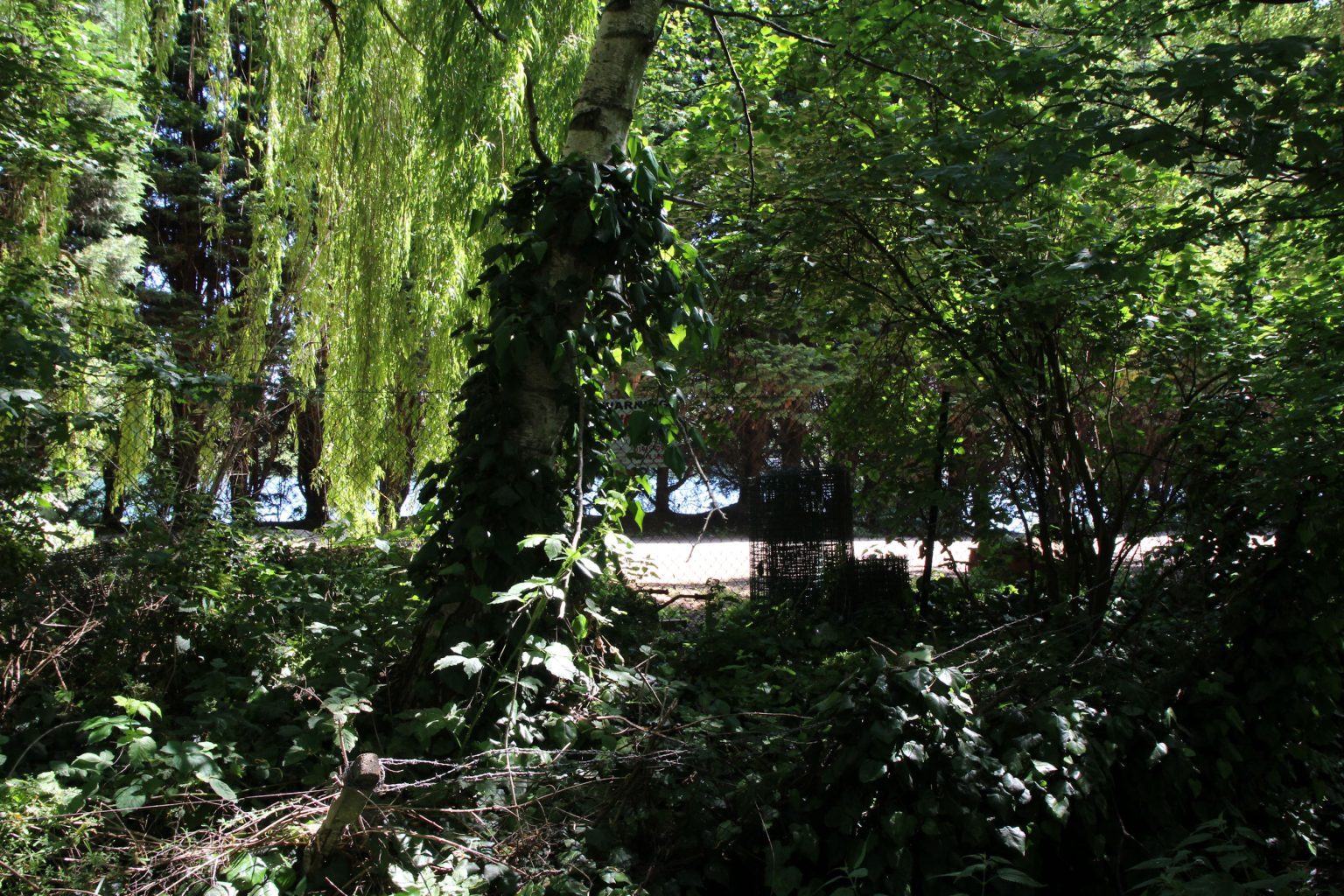 Glimpse of West Lake from Burnside