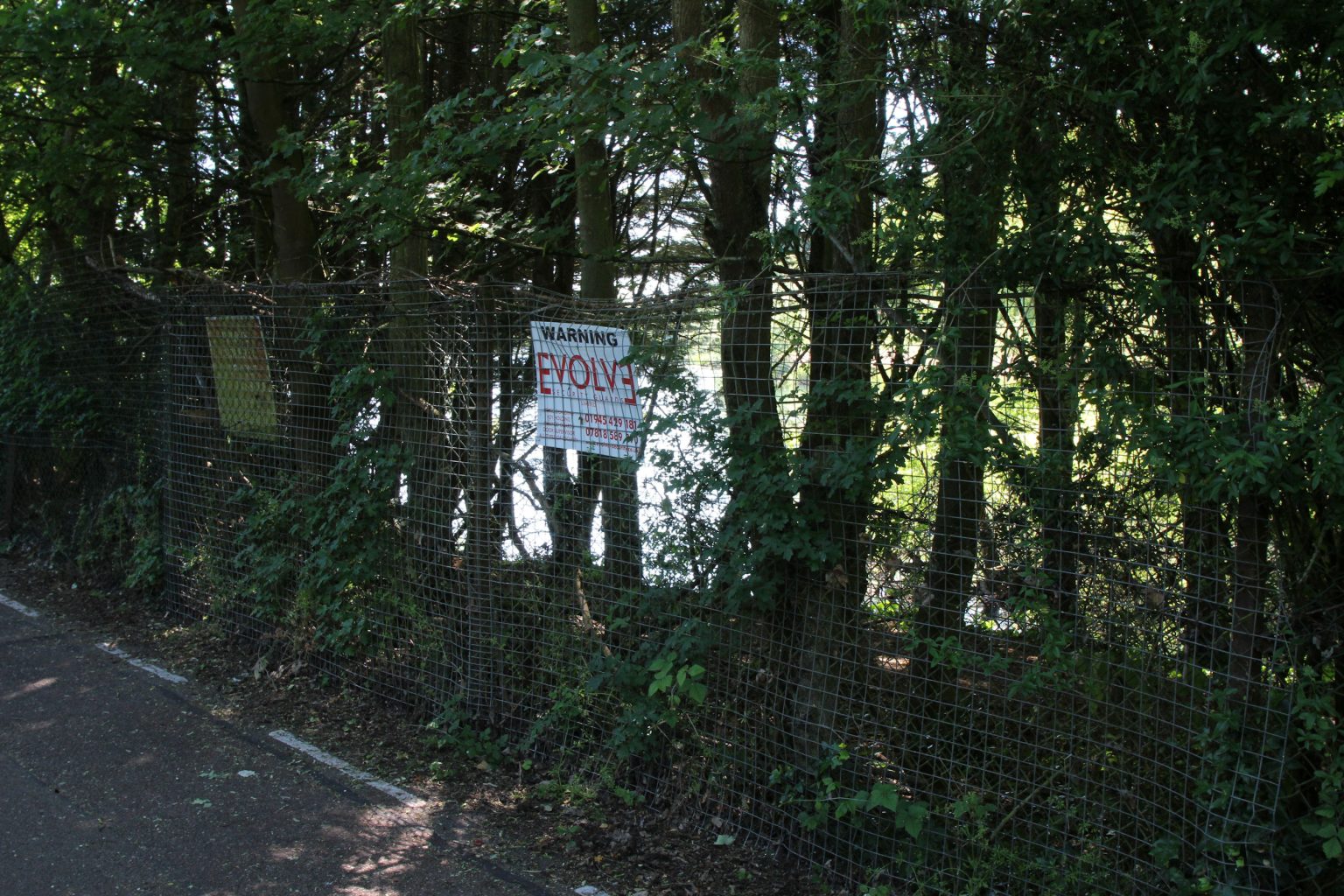 Glimpse of West Lake from near Tins Path entrance