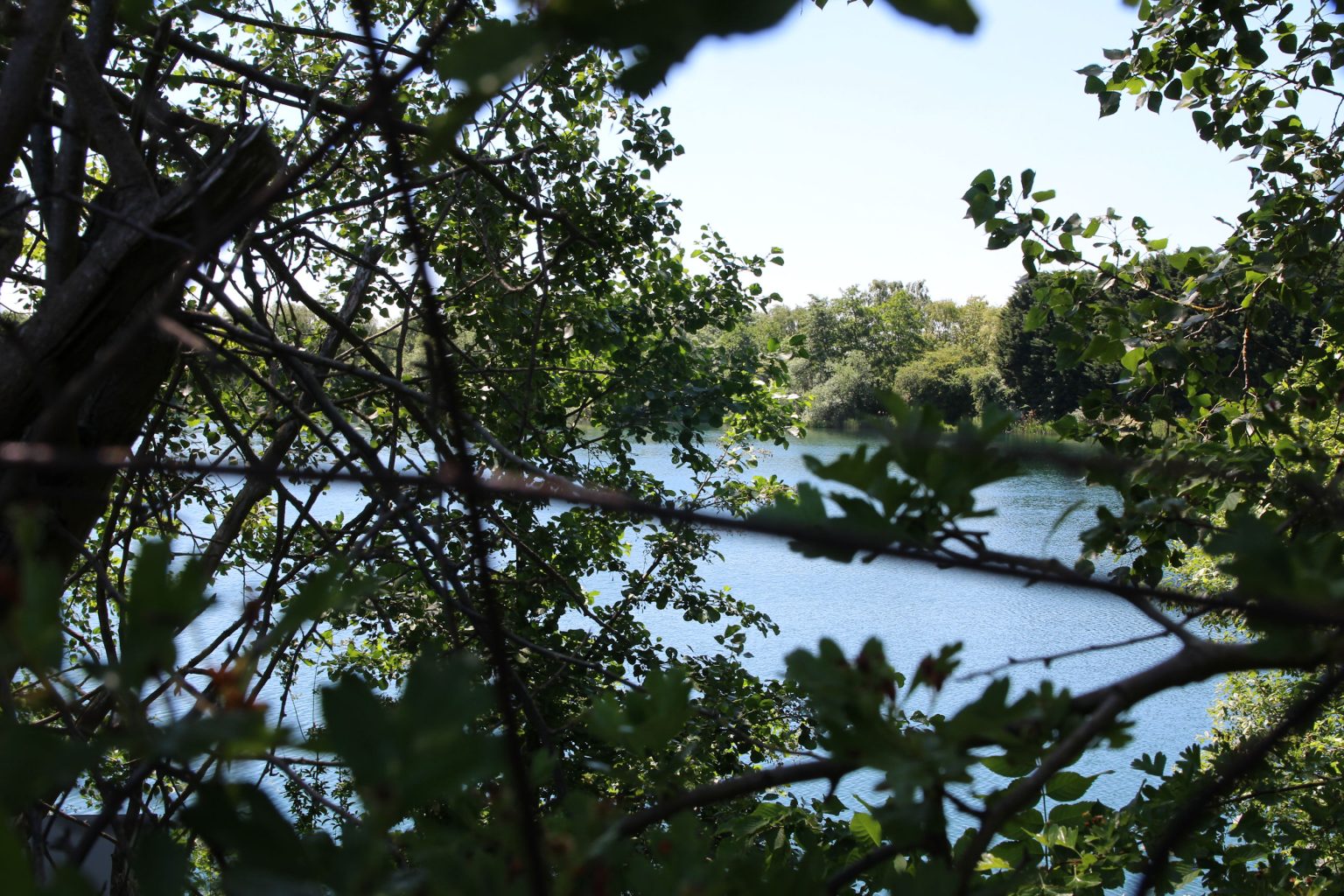 Glimpse of West Lake from Tins Path