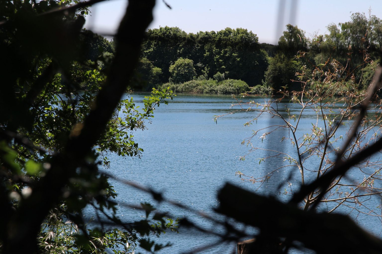 West Lake viewed from Tins Path