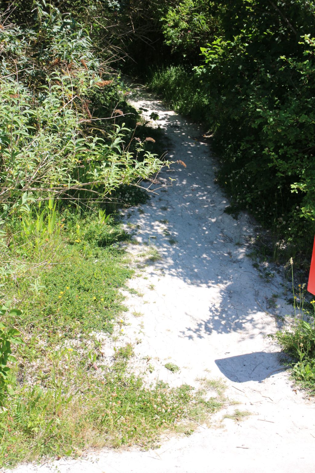 Path leading up to Parcel B