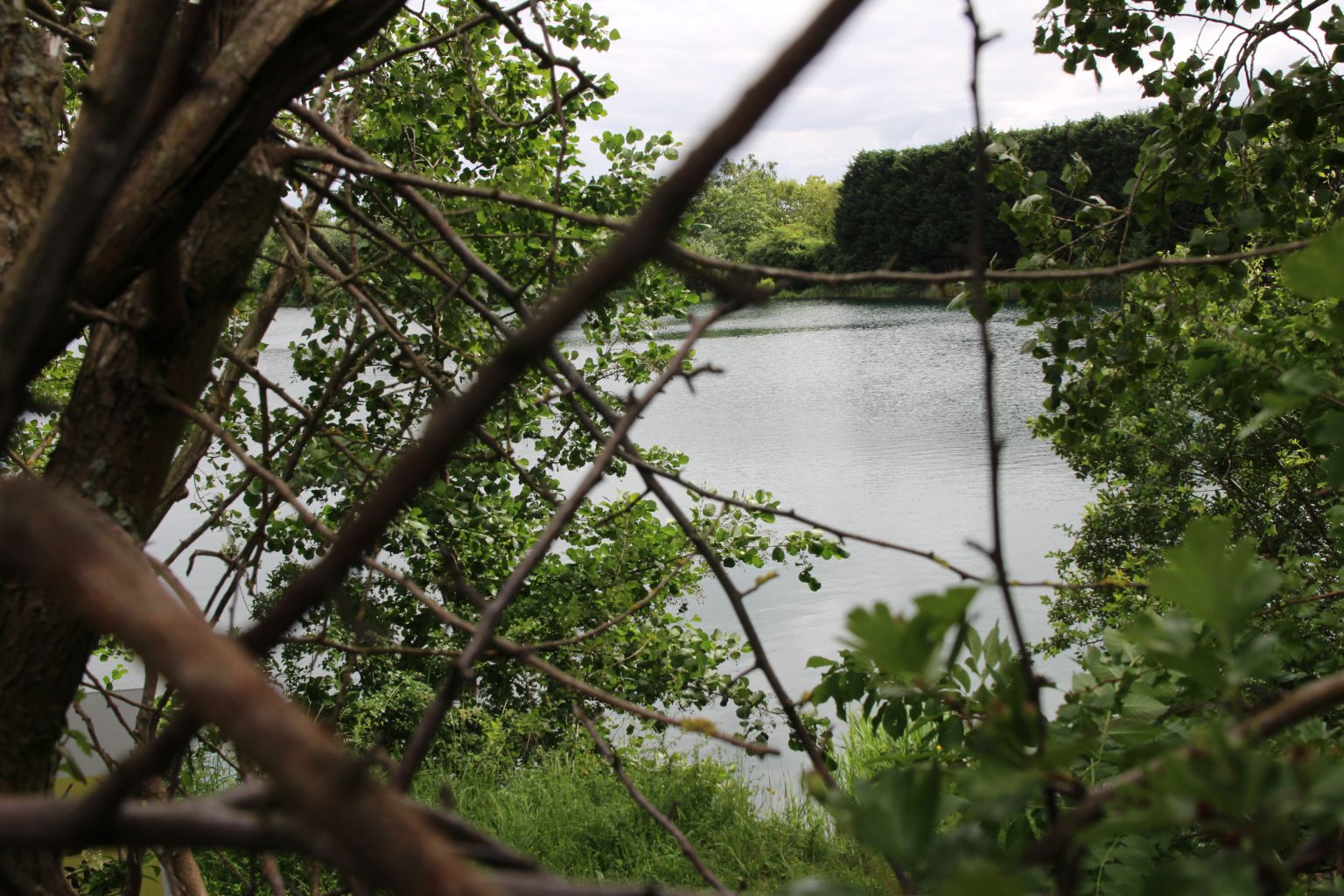West Lake viewed from Tins Path