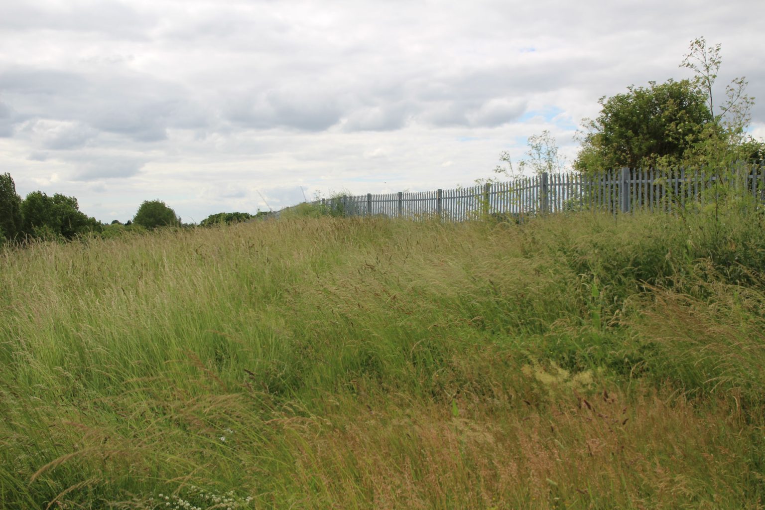 View along south side of Parcel B looking west