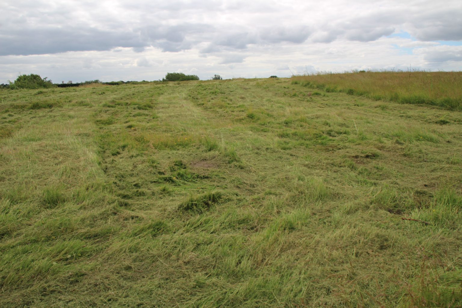 Parcel B looking northwest from east side