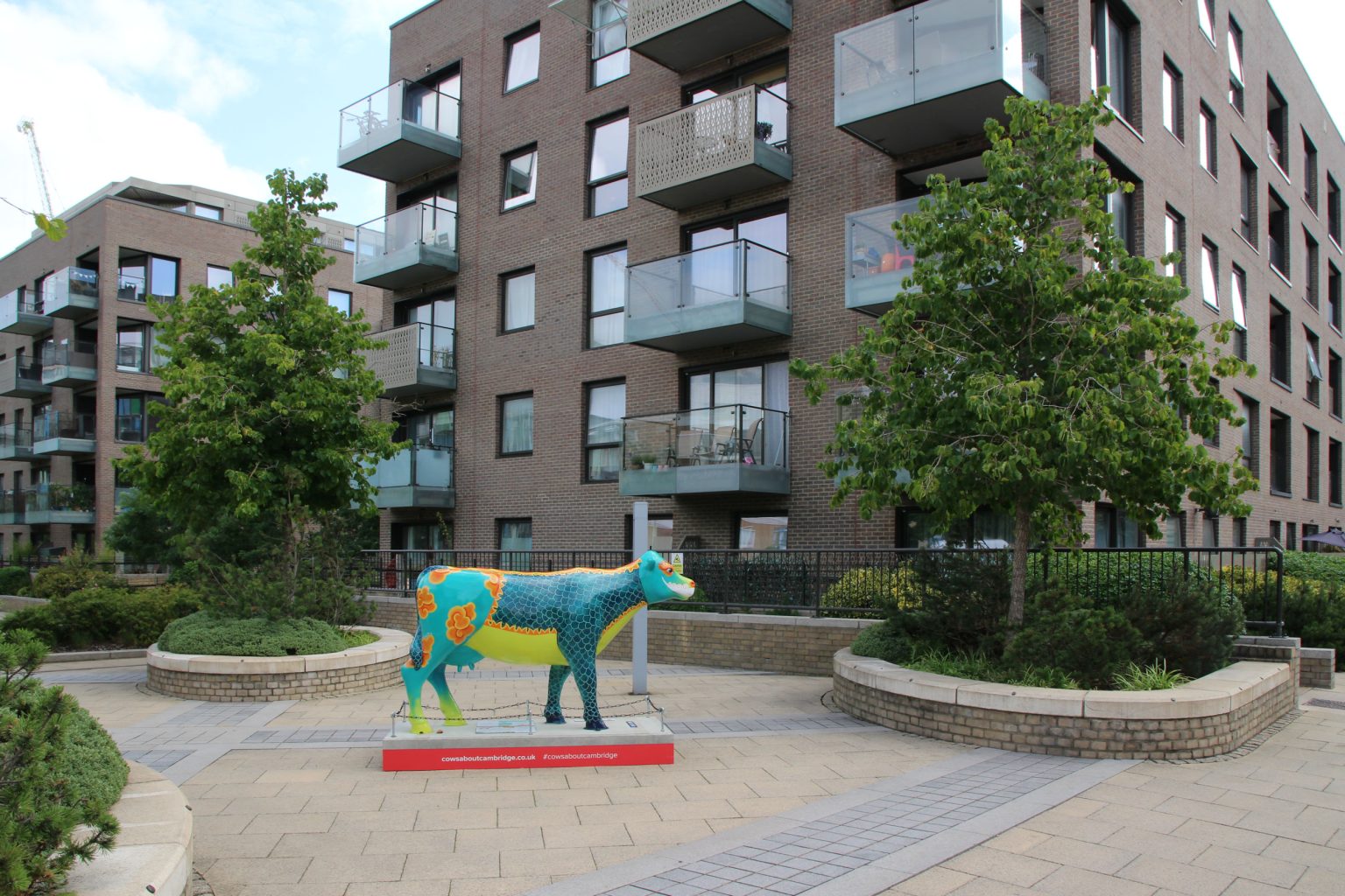Cow 5 "Mooshu" - setting