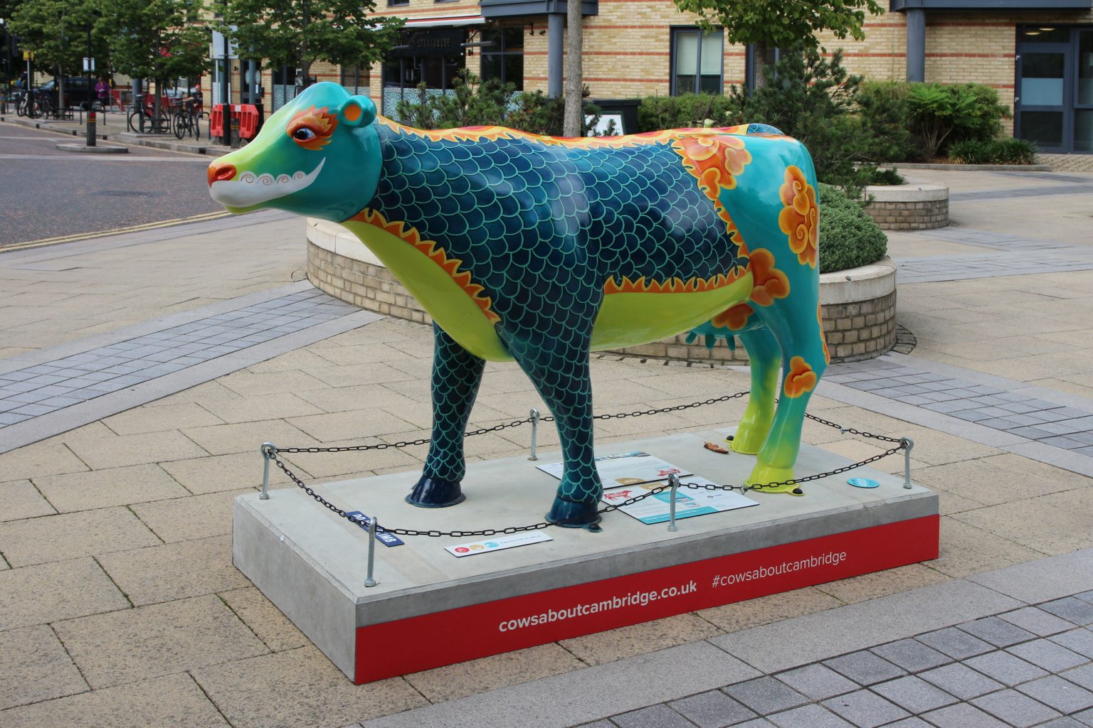Cow 5 "Mooshu"
