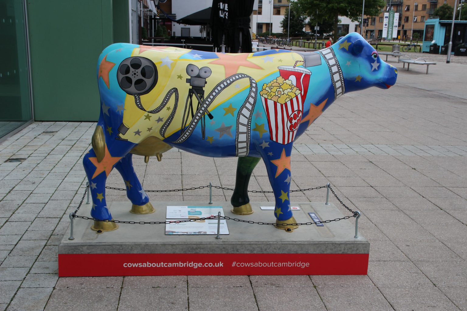  Cow 6 "At the Moovies"
