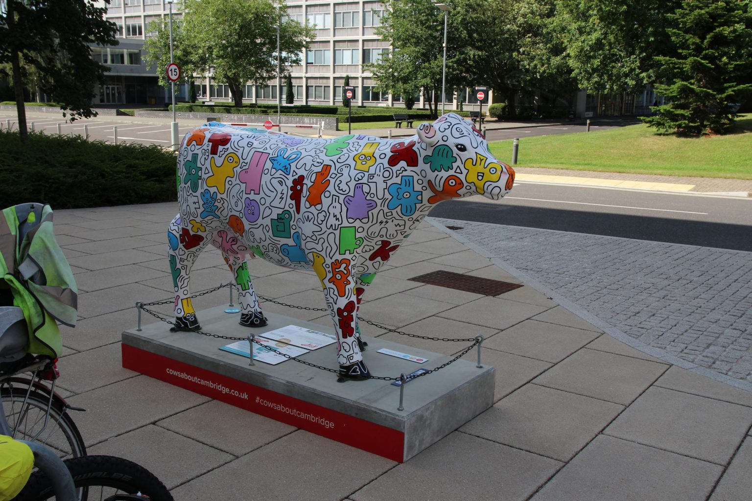  Cow 7 "Moodle Yoodle"