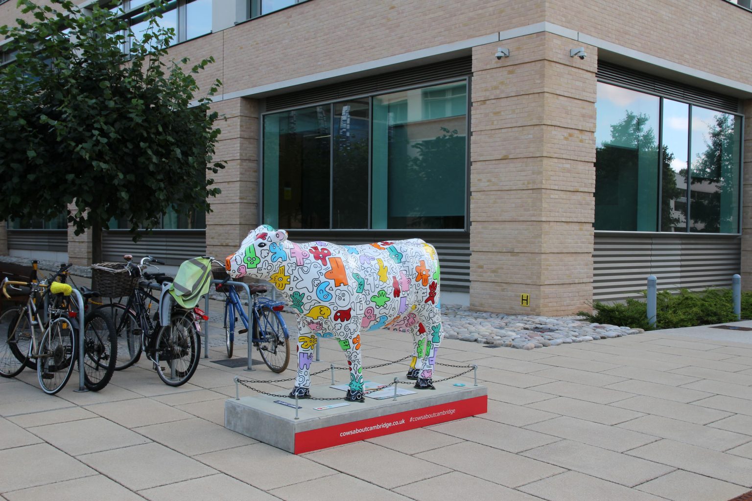 Cow 7 "Moodle Yoodle" - setting