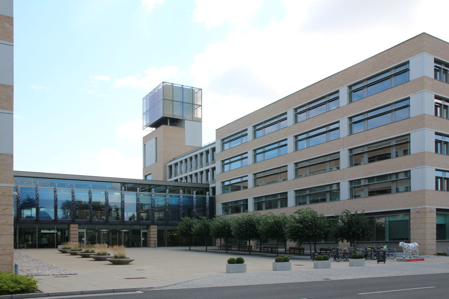 Cambridge Assessment