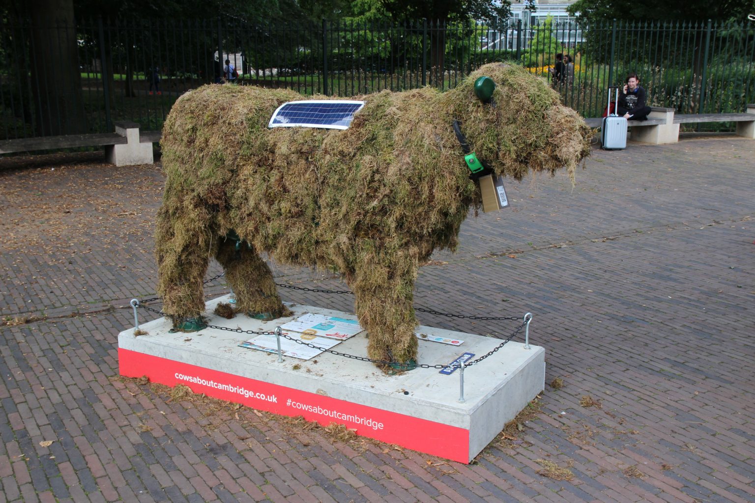 Cow 8 - Moss Cow