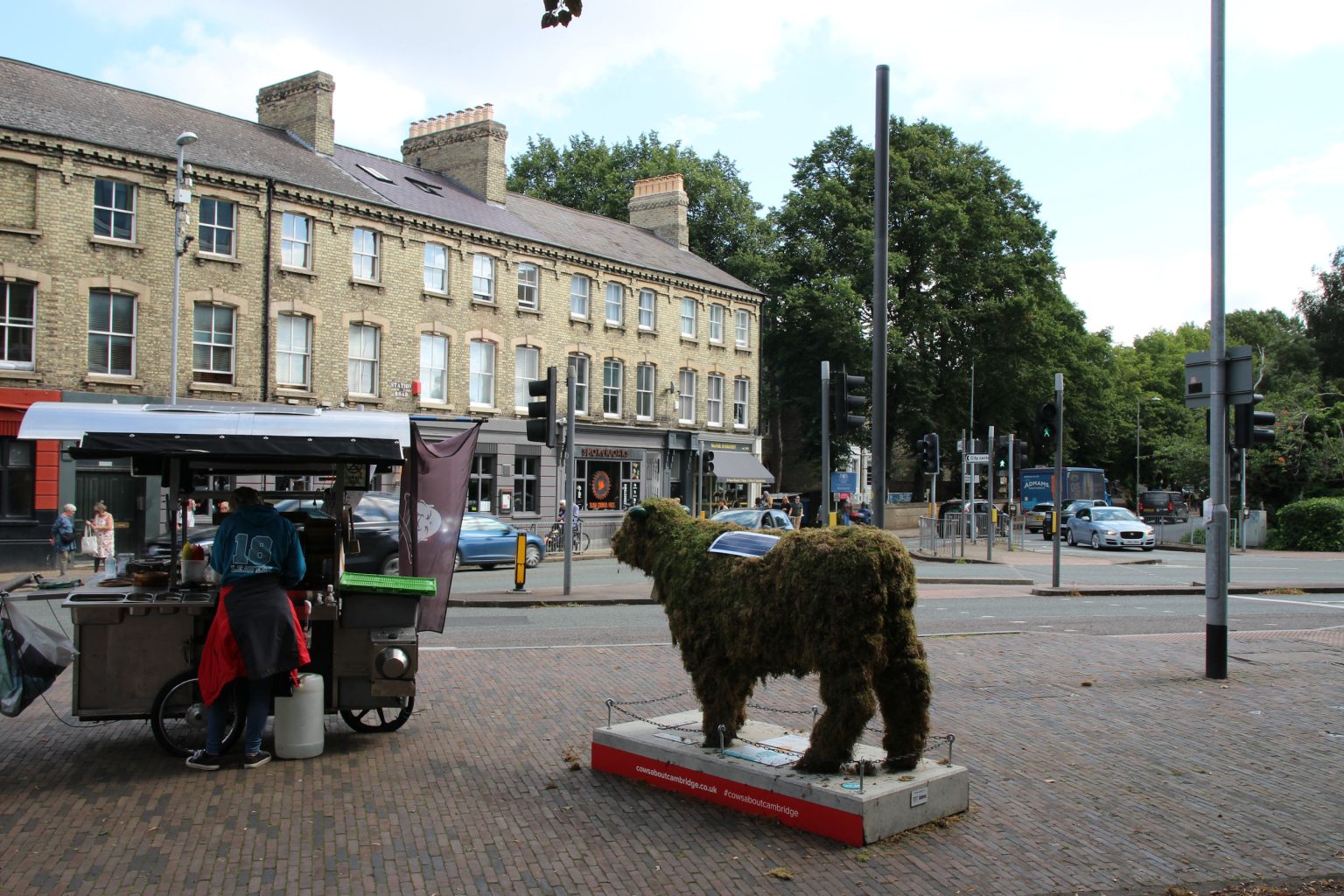 Cow 8 "Moss Cow" - setting