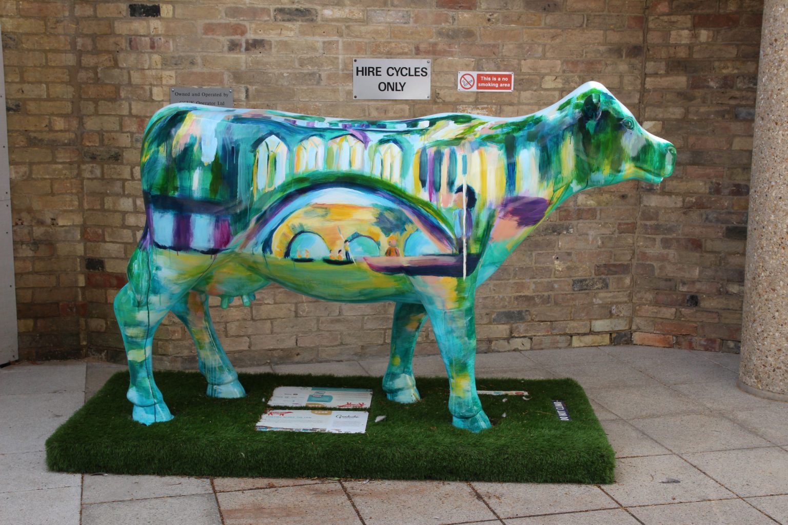  Cow 11 "Punting Along the Cam"