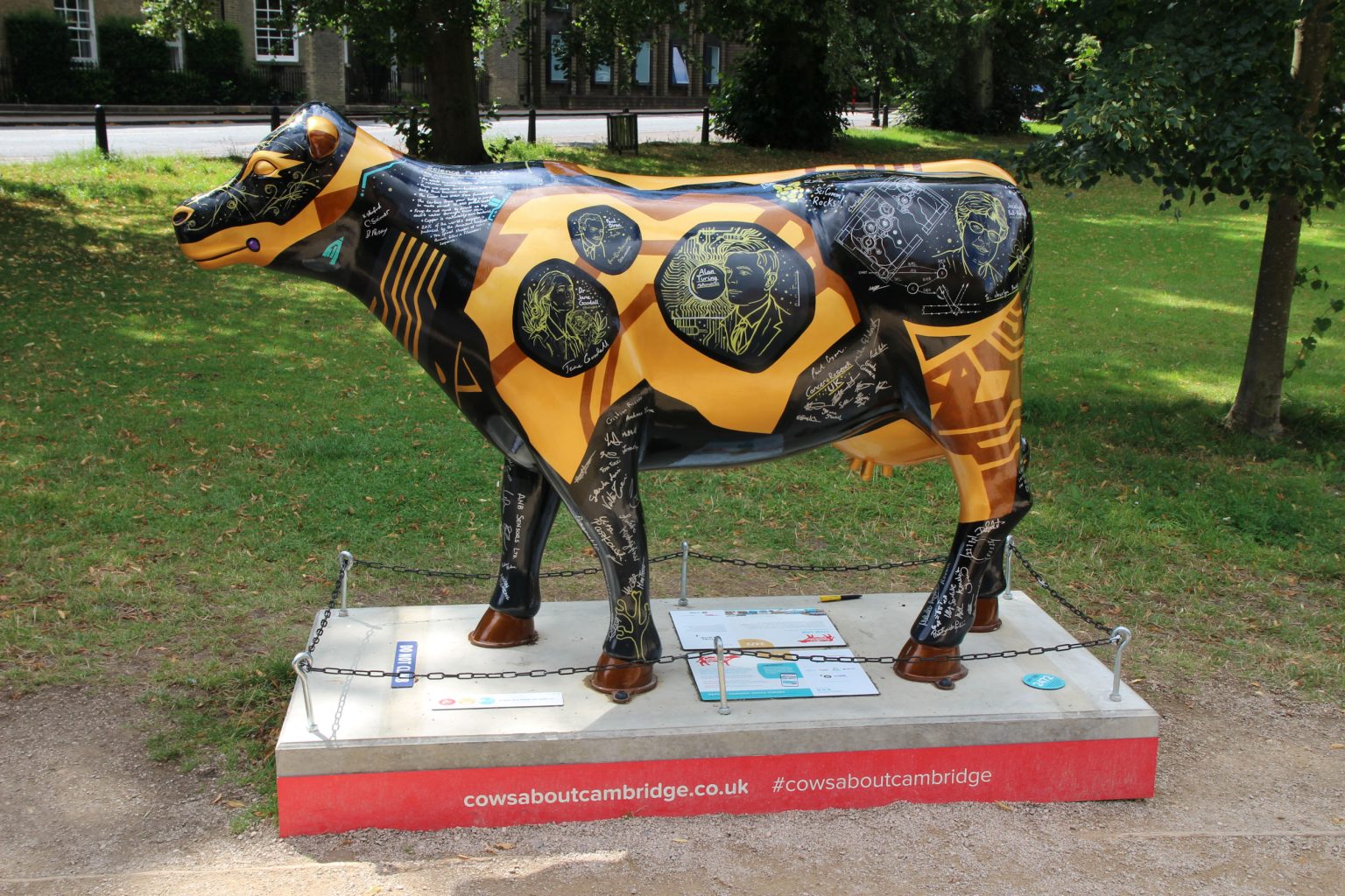  Cow 12 "STEM Cow"
