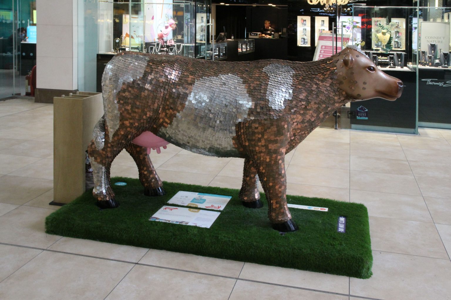 Cow 17 "Penny"