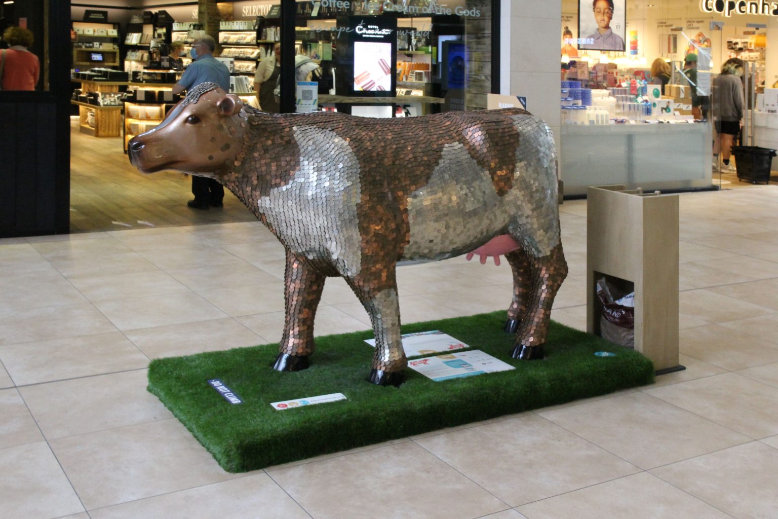 Cow 17 "Penny" - setting