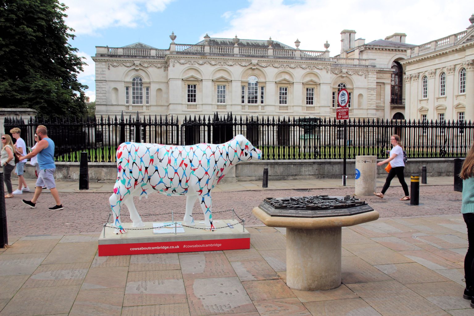Cow 20 "Strength in Numbers" - setting
