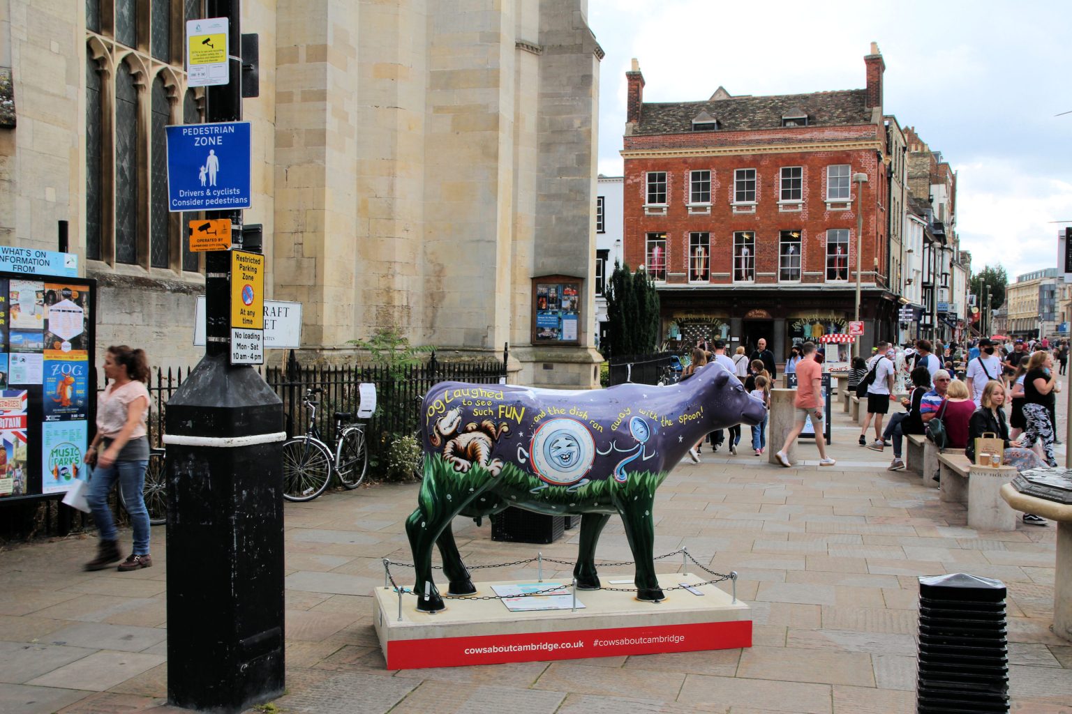 Cow 21 "Hey Diddle Diddle" - setting