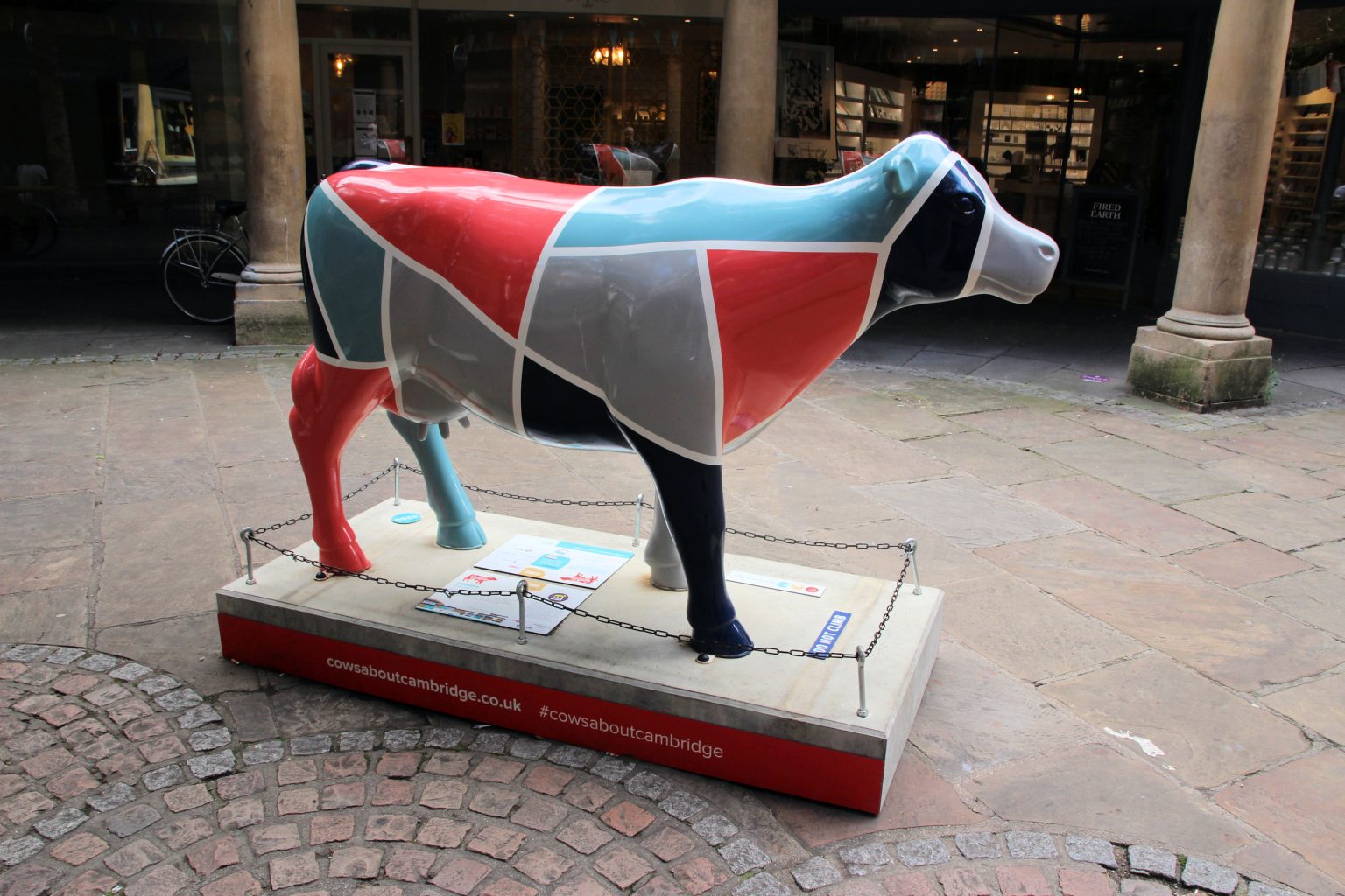 Cow 22 "Etheridge"