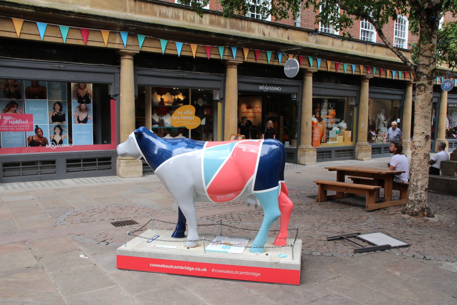 Cow 22 "Etheridge" - setting