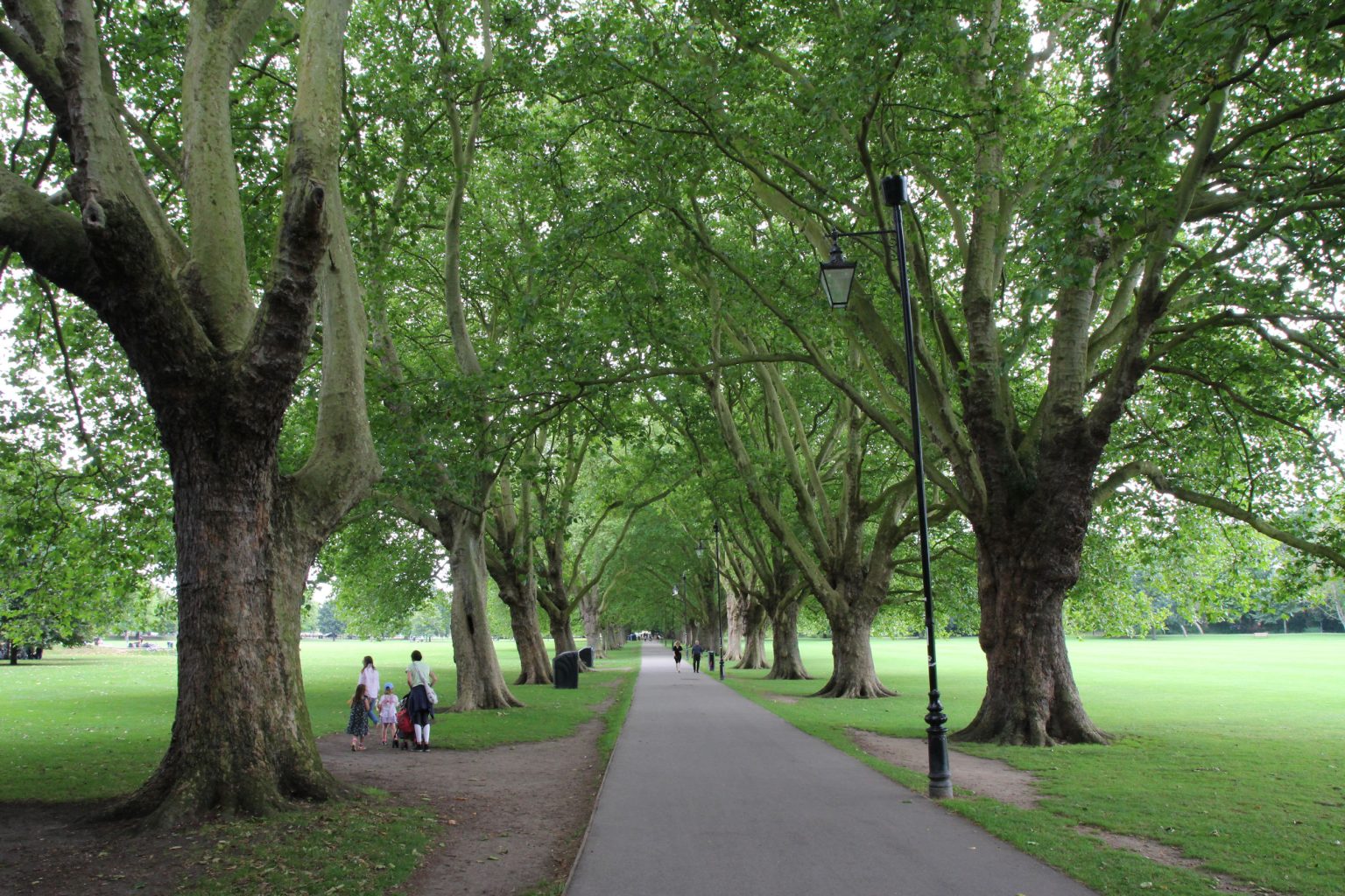 Jesus Green Avenue