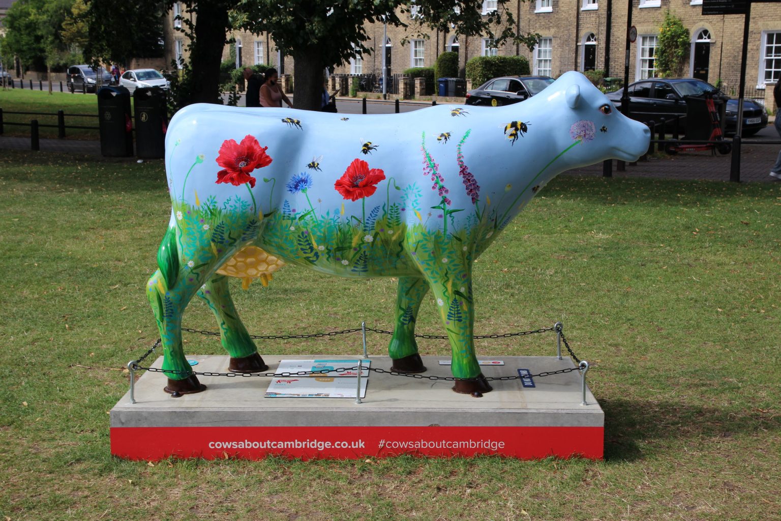 Cow 28 "Honey"