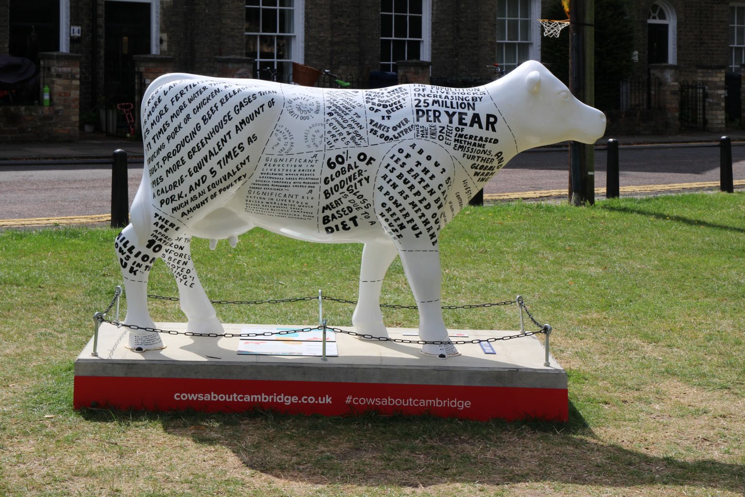 Cow 27 "The Enviromoontal Cow"