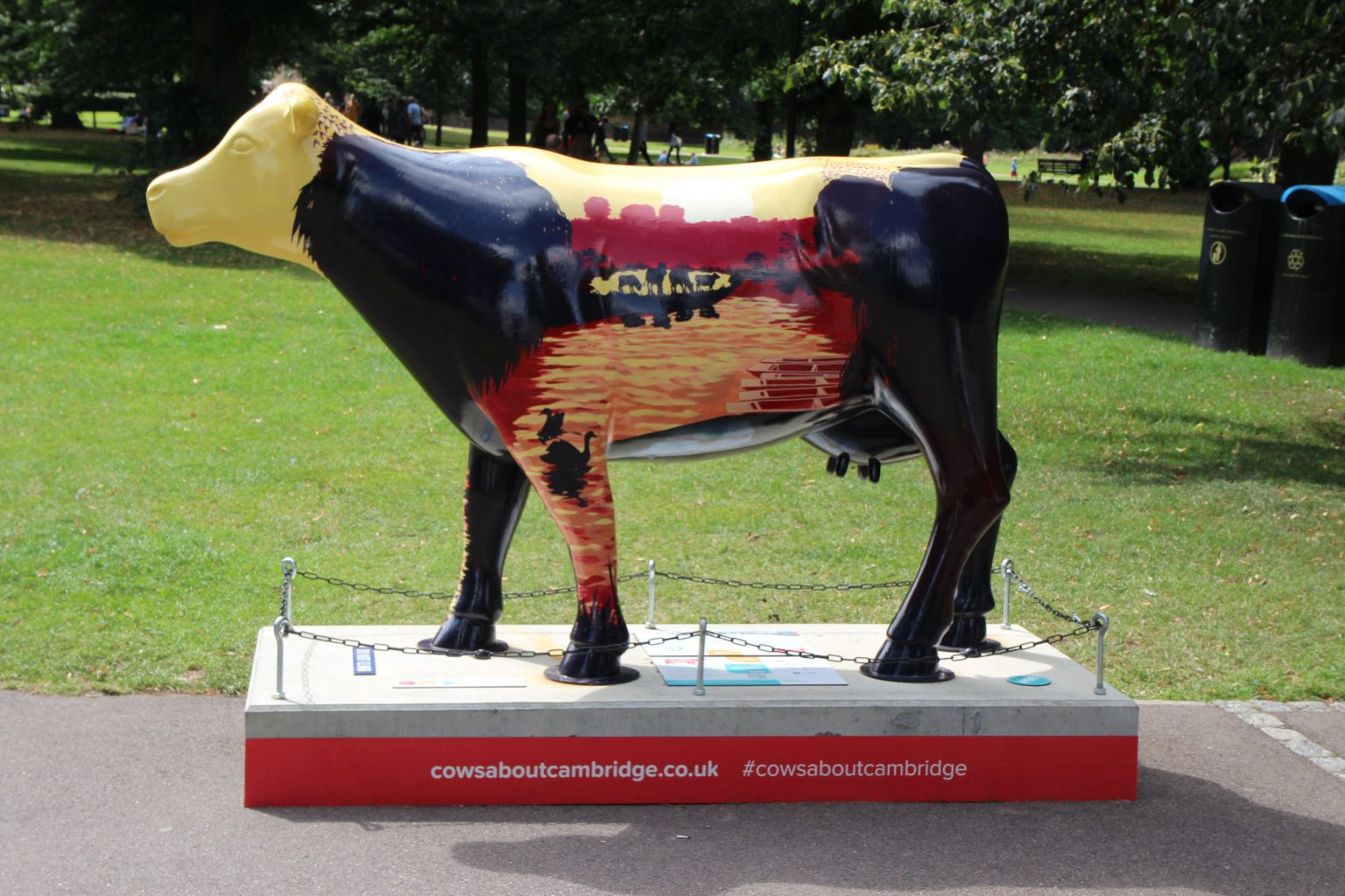 Cow 29 "May-Belle"