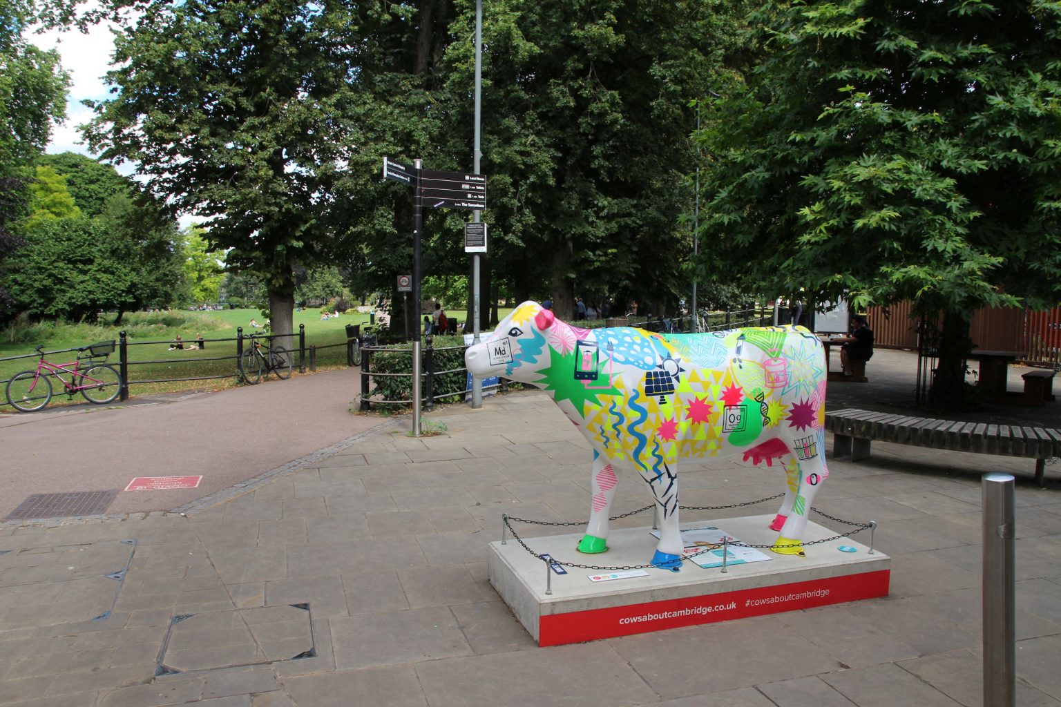 Cow 30 "Dairy Curie" - setting