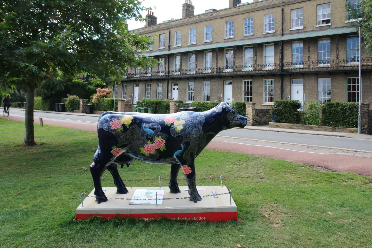 Cow 31 "Cowmono" - setting