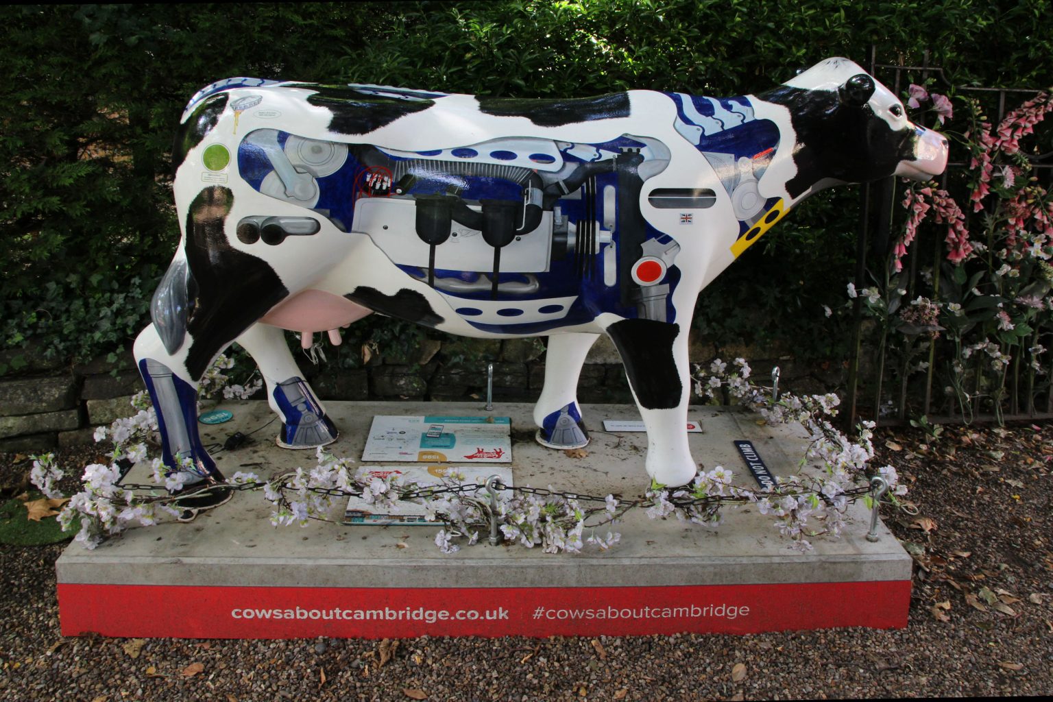 Cow 34 "Mooto Cow"