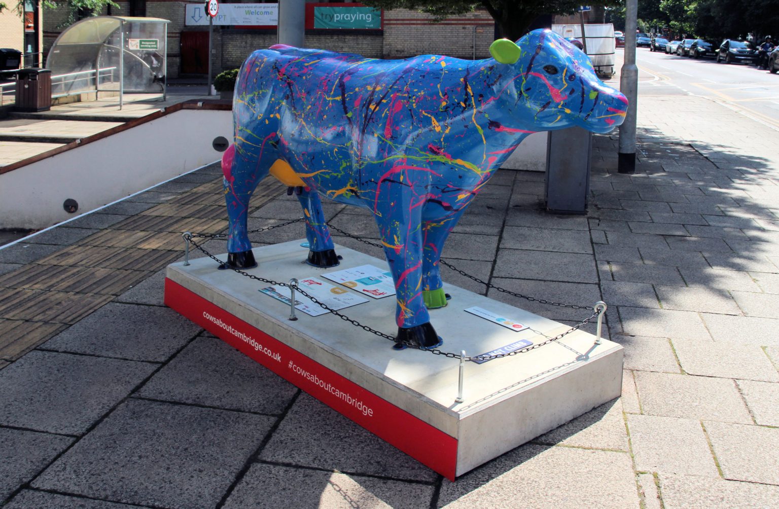 Cow 36 "Art Attack Splat"