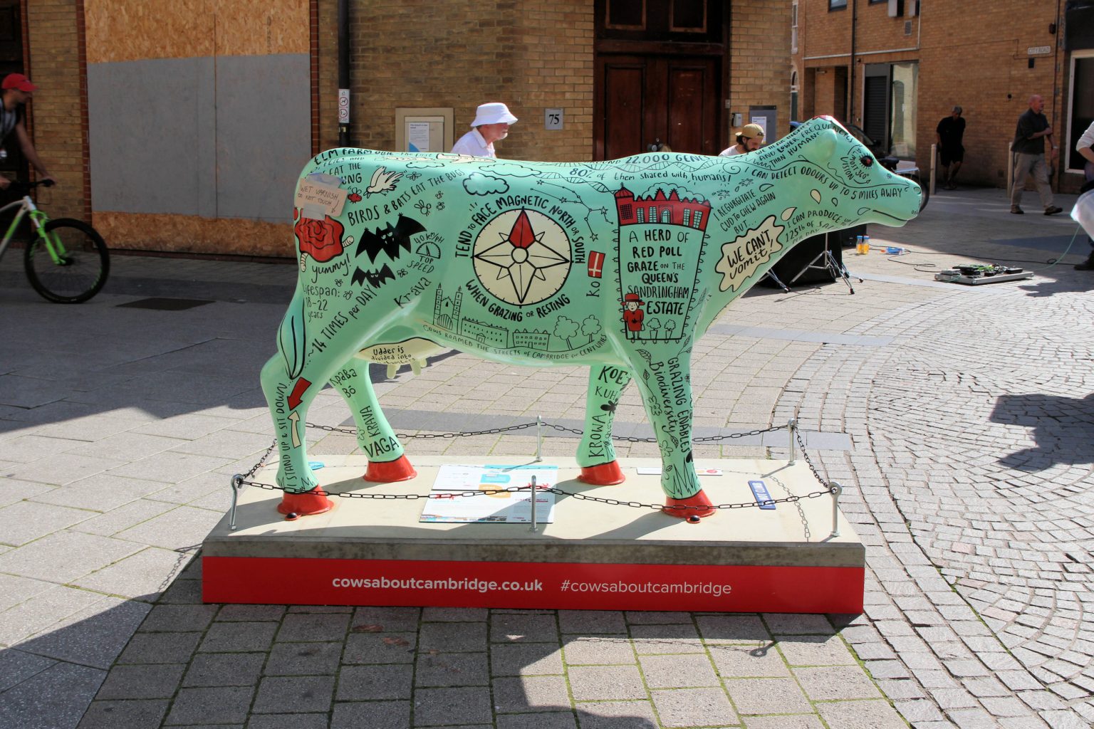Cow 37 "Doodle Cow"