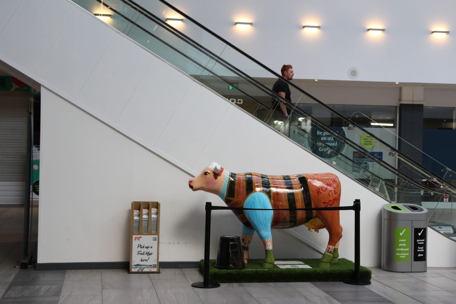 Cow 38 "Now for Something Udderly Different" - setting