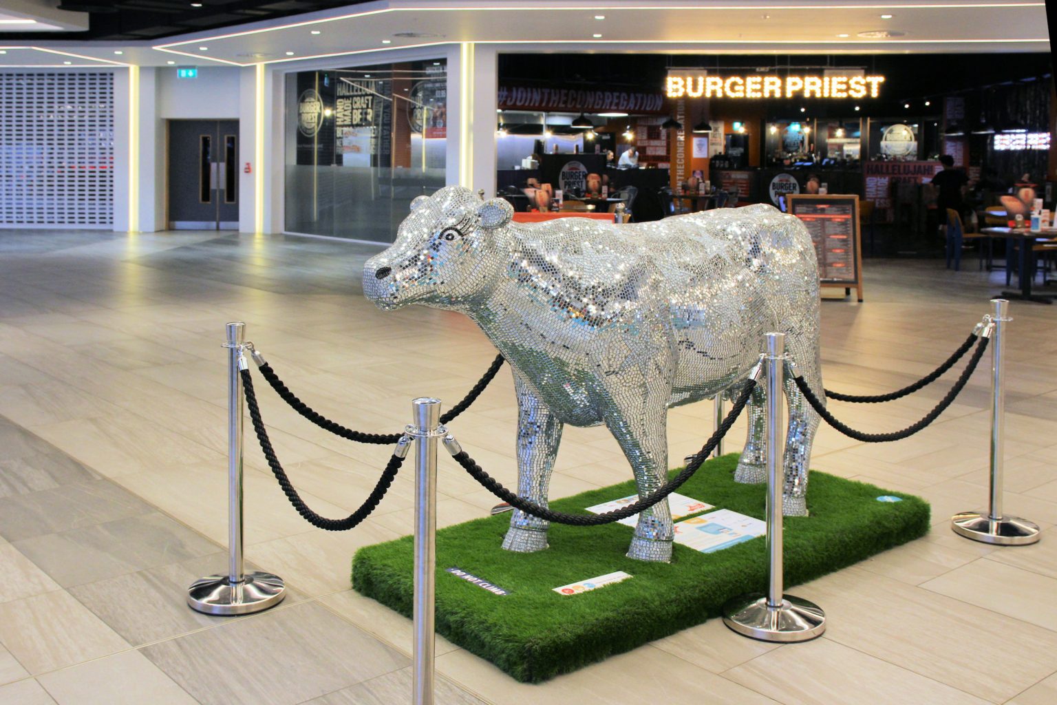 Cow 39 "Stardust" - setting