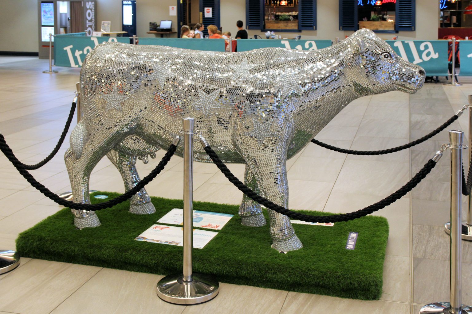 Cow 39 "Stardust"