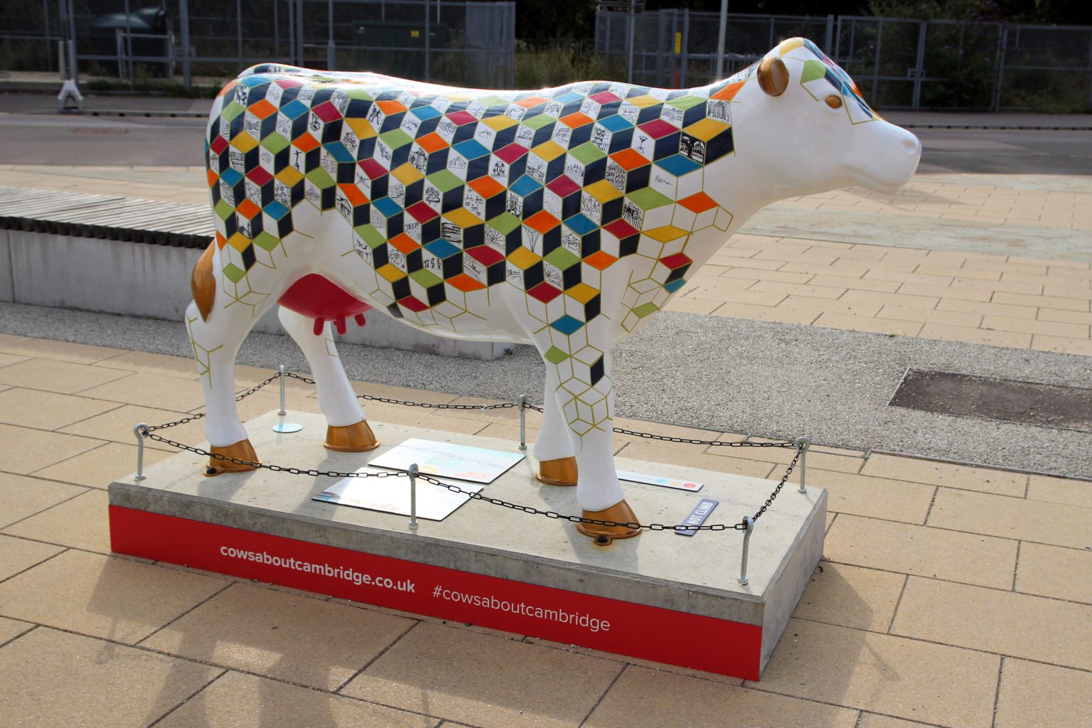 Cow 40 "Connecting Tails"