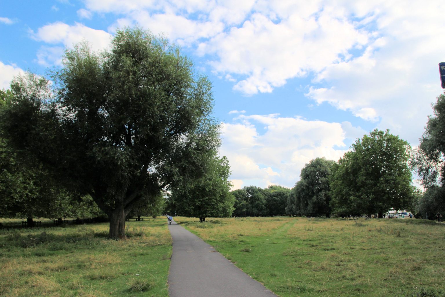 Stourbridge Common